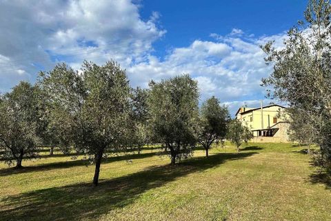 Farm hus i Follonica, Grosseto, Follonica - € 2.000.000 | Ref: a7631ta2301938a - foto 17