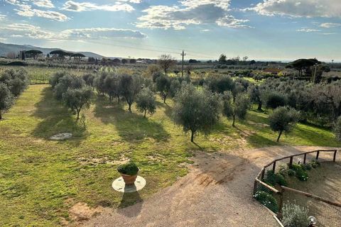 Farm hus i Follonica, Grosseto, Follonica - € 2.000.000 | Ref: a7631ta2301938a - foto 24