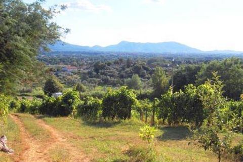 Farm hus i Capannori, Lucca, Capannori - € 630.000 | Ref: a6551ta1241134a - foto 2