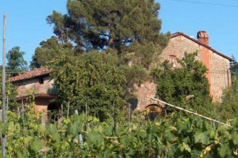 Farm hus i Capannori, Lucca, Capannori - € 630.000 | Ref: a6551ta1241134a - foto 12