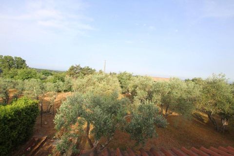 Villa i Casale Marittimo, Pisa, Casale Marittimo - € 1.500.000 | Ref: a1190rv86918 - foto 15