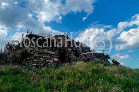 Farm hus i Asciano, Siena, Asciano - € 850.000 | Ref: a1190rc91115 - foto 7