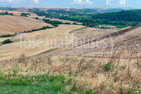 Farm hus i Asciano, Siena, Asciano - € 850.000 | Ref: a1190rc91115 - foto 9