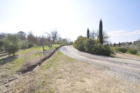 Farm hus i Suvereto, Livorno, Suvereto - € 690.000 | Ref: a6756ta2053621a - foto 6