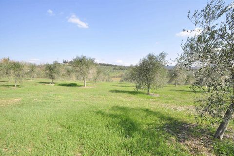 Farm hus i Suvereto, Livorno, Suvereto - € 690.000 | Ref: a6756ta2053621a - foto 7