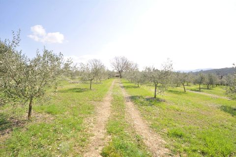 Farm hus i Suvereto, Livorno, Suvereto - € 690.000 | Ref: a6756ta2053621a - foto 8