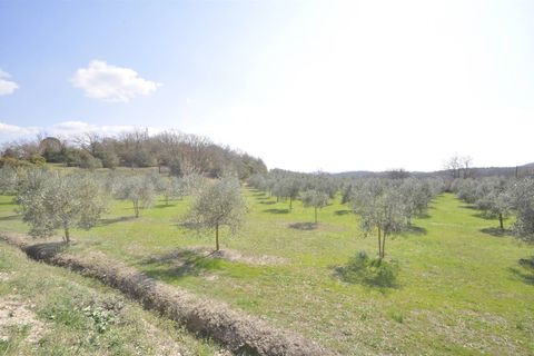 Farm hus i Suvereto, Livorno, Suvereto - € 690.000 | Ref: a6756ta2053621a - foto 9