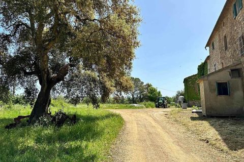 Farm hus i Roccastrada, Grosseto, Roccastrada - € 2.370.000 | Ref: a7631ta2334919a - foto 11
