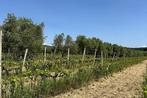 Farm hus i Roccastrada, Grosseto, Roccastrada - € 2.370.000 | Ref: a7631ta2334919a - foto 15