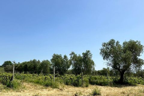 Farm hus i Roccastrada, Grosseto, Roccastrada - € 2.370.000 | Ref: a7631ta2334919a - foto 18