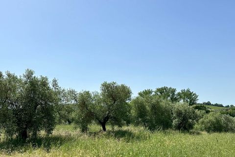 Farm hus i Roccastrada, Grosseto, Roccastrada - € 2.370.000 | Ref: a7631ta2334919a - foto 19