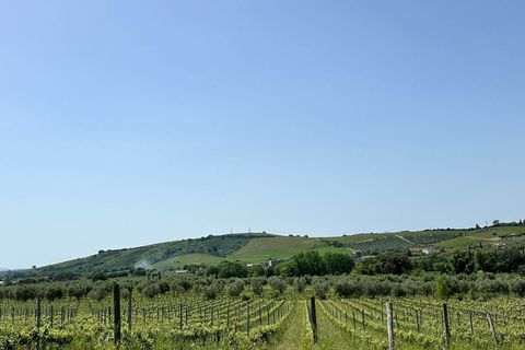 Farm hus i Roccastrada, Grosseto, Roccastrada - € 2.370.000 | Ref: a7631ta2334919a - foto 26