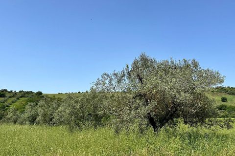 Farm hus i Roccastrada, Grosseto, Roccastrada - € 2.370.000 | Ref: a7631ta2334919a - foto 27