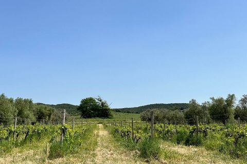 Farm hus i Roccastrada, Grosseto, Roccastrada - € 2.370.000 | Ref: a7631ta2334919a - foto 29