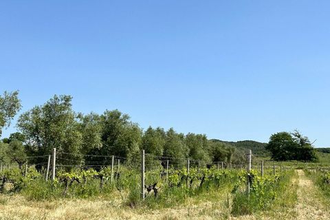 Farm hus i Roccastrada, Grosseto, Roccastrada - € 2.370.000 | Ref: a7631ta2334919a - foto 30