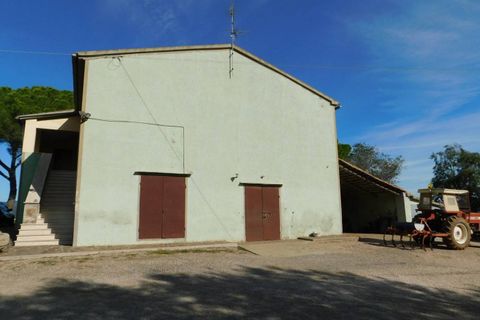 Farm hus i Roccastrada, Grosseto, Roccastrada - € 780.000 | Ref: a7631ta2125665a - foto 12