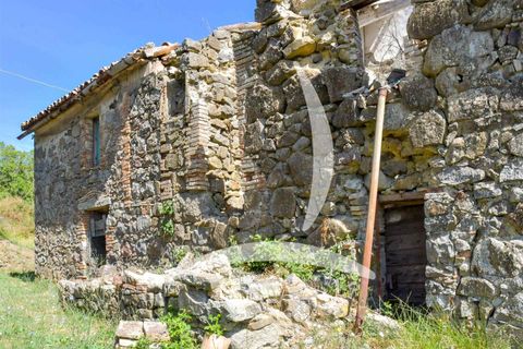 Farm hus i Radicofani, Siena, Radicofani - € 400.000 | Ref: a1190rc98062 - foto 4