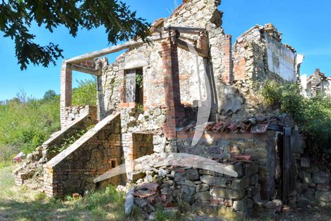 Farm hus i Radicofani, Siena, Radicofani - € 400.000 | Ref: a1190rc98062 - foto 6