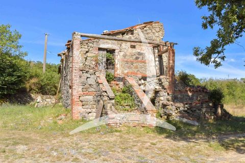 Farm hus i Radicofani, Siena, Radicofani - € 400.000 | Ref: a1190rc98062 - foto 7