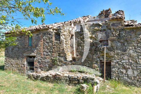 Farm hus i Radicofani, Siena, Radicofani - € 400.000 | Ref: a1190rc98062 - foto 9