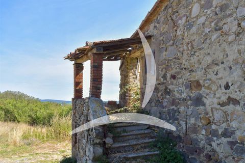 Farm hus i Radicofani, Siena, Radicofani - € 400.000 | Ref: a1190rc98062 - foto 11