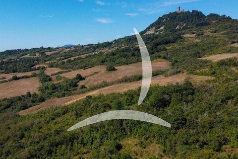 Farm hus i Radicofani, Siena, Radicofani - € 400.000 | Ref: a1190rc98062 - foto 22