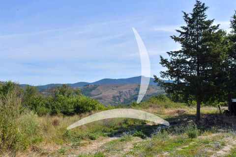 Farm hus i Radicofani, Siena, Radicofani - € 400.000 | Ref: a1190rc98062 - foto 26