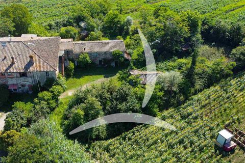 Masia a Sinalunga, Siena, Sinalunga - € 490.000 | Ref: a1190rc51875 - foto 26