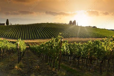 Villa a Florence, Florence, Florence - € 1.800.000 | Ref: a8312rv2233493a - foto 10