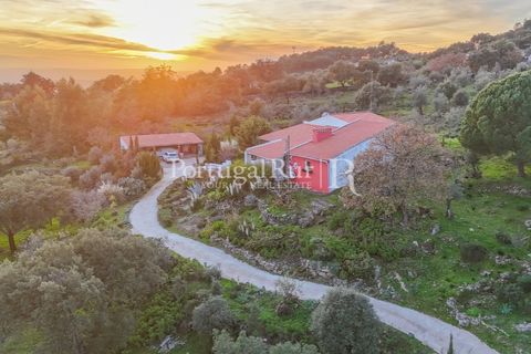 Villa i Portalegre, Portalegre, Portalegre - € 439.000 | Ref: JF576 - foto 4