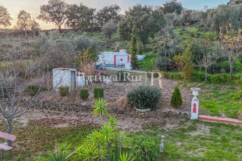 Villa i Portalegre, Portalegre, Portalegre - € 439.000 | Ref: JF576 - foto 34