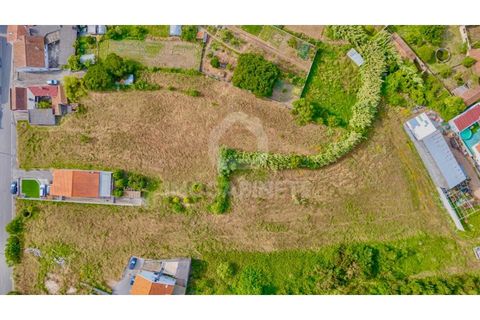 Terra a Lavos, Coimbra, Lavos - € 59.000 | Ref: JO T1775 - foto 3