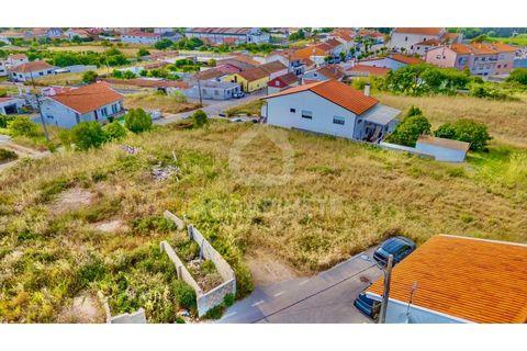 Terra a Lavos, Coimbra, Lavos - € 59.000 | Ref: JO T1775 - foto 4