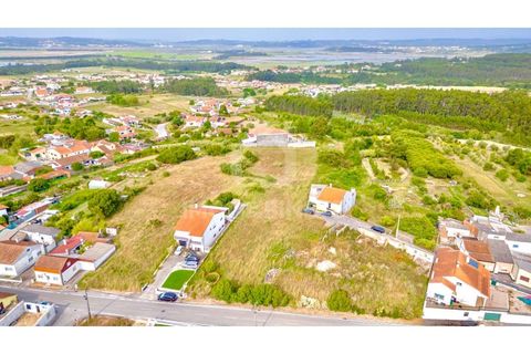 Terra a Lavos, Coimbra, Lavos - € 59.000 | Ref: JO T1775 - foto 11