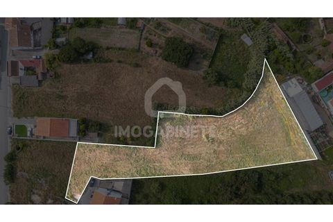 Terra a Lavos, Coimbra, Lavos - € 72.000 | Ref: JO T 1776 - foto 2