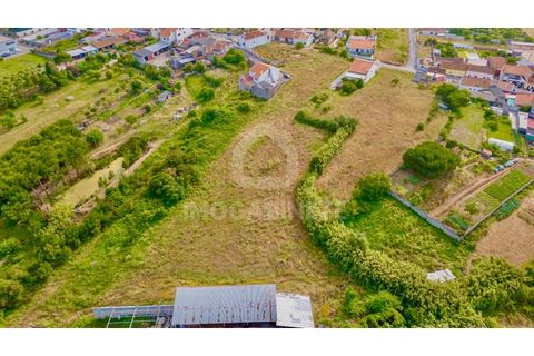 Terra a Lavos, Coimbra, Lavos - € 72.000 | Ref: JO T 1776 - foto 11