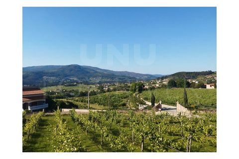 Farm i Moncao, Viana do Castelo, Moncao - € 288.000 | Ref: F2-03-39 - foto 2