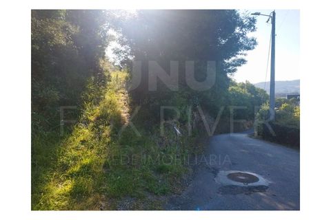 Farm i Moncao, Viana do Castelo, Moncao - € 288.000 | Ref: F2-03-39 - foto 4