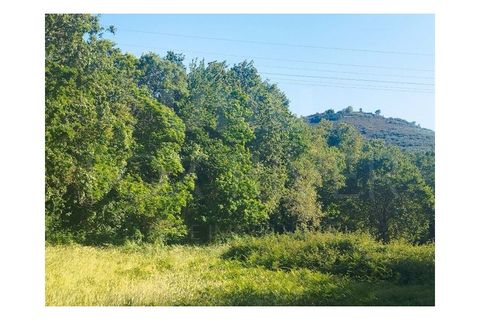 Farm i Moncao, Viana do Castelo, Moncao - € 288.000 | Ref: F2-03-39 - foto 9