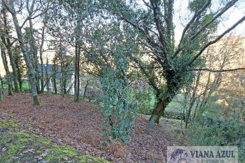 Terra a Azere, Viana do Castelo, Azere - € 42.500 | Ref: 2185 - foto 7