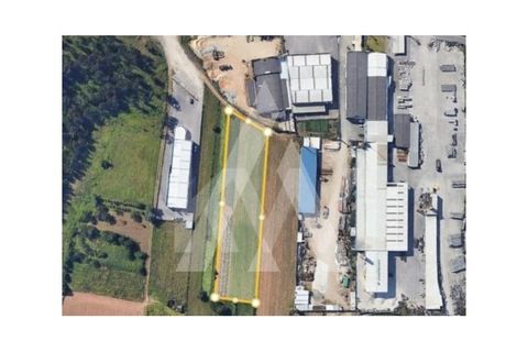 Grond in Eixo e Eirol, Aveiro, Eixo e Eirol - € 135.000 | Ref: 1040629/25 BR - foto 2