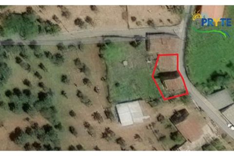 Villa i Cabecudo, Castelo Branco, Cabecudo - € 41.500 | Ref: MG148 - foto 19