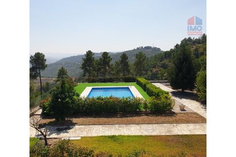 Farm i Vila Real, Vila Real, Vila Real - € 495.000 | Ref: 259200289 - foto 4