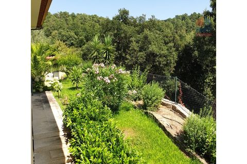 Farm i Vila Real, Vila Real, Vila Real - € 495.000 | Ref: 259200289 - foto 8