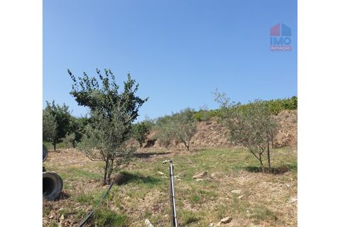 Farm i Vila Real, Vila Real, Vila Real - € 495.000 | Ref: 259200289 - foto 25