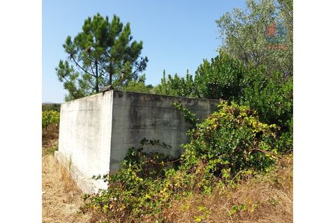 Farm i Vila Real, Vila Real, Vila Real - € 495.000 | Ref: 259200289 - foto 26