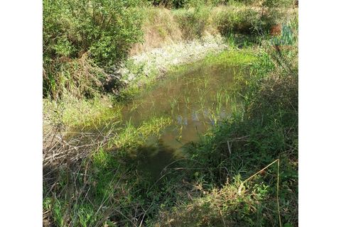 Farm i Vila Real, Vila Real, Vila Real - € 495.000 | Ref: 259200289 - foto 27