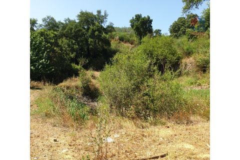 Farm i Vila Real, Vila Real, Vila Real - € 495.000 | Ref: 259200289 - foto 28