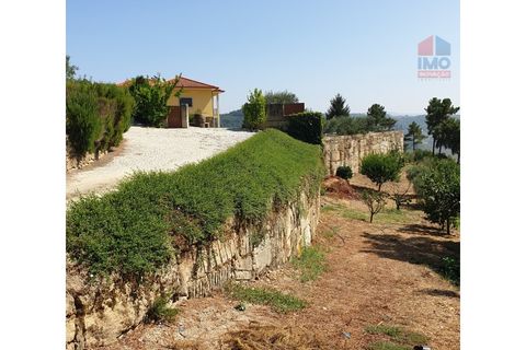 Farm i Vila Real, Vila Real, Vila Real - € 495.000 | Ref: 259200289 - foto 29