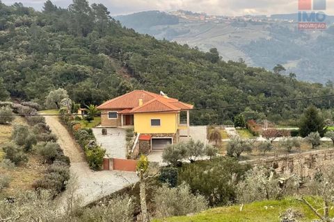 Farm i Vila Real, Vila Real, Vila Real - € 495.000 | Ref: 259200289 - foto 35